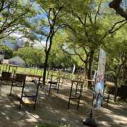 ヒメ日記 2025/07/26 09:05 投稿 ひかる 中洲秘密倶楽部