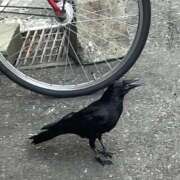 ヒメ日記 2025/08/27 17:55 投稿 ひかる 中洲秘密倶楽部