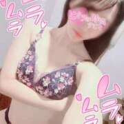 ヒメ日記 2026/01/31 08:59 投稿 藤谷 やよい カサノヴァ