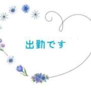 ヒメ日記 2024/12/12 10:05 投稿 はる 妻天 京橋店