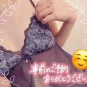 ヒメ日記 2026/08/11 07:47 投稿 まい先生 渋谷   大人の幼稚園