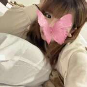 ヒメ日記 2026/02/11 15:50 投稿 もも ぐらどるえっぐ