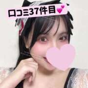 ヒメ日記 2025/02/09 10:51 投稿 きなこ ぐらどるえっぐ