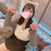 ヒメ日記 2025/02/24 10:51 投稿 きなこ ぐらどるえっぐ