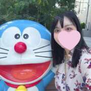 ヒメ日記 2025/06/28 10:59 投稿 きなこ ぐらどるえっぐ