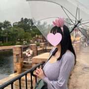 ヒメ日記 2025/07/31 13:04 投稿 きなこ ぐらどるえっぐ