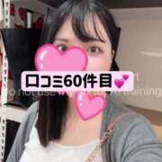 ヒメ日記 2025/08/27 11:04 投稿 きなこ ぐらどるえっぐ