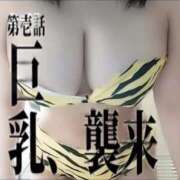 ヒメ日記 2025/08/27 14:54 投稿 きなこ ぐらどるえっぐ