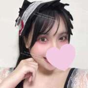 ヒメ日記 2025/08/31 14:54 投稿 きなこ ぐらどるえっぐ