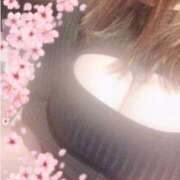 ヒメ日記 2026/01/15 12:24 投稿 あおい ぐらどるえっぐ