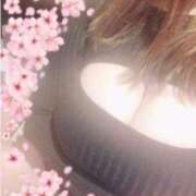 ヒメ日記 2026/02/08 20:14 投稿 あおい ぐらどるえっぐ