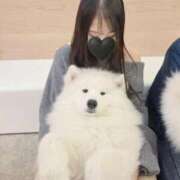 ヒメ日記 2025/12/24 16:24 投稿 ななか ぐらどるえっぐ