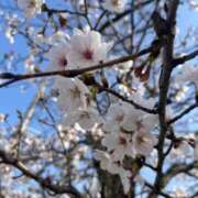 ヒメ日記 2026/03/29 23:14 投稿 みさき ぐらどるえっぐ