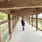 ヒメ日記 2025/12/11 09:25 投稿 みらい ぐらどるえっぐ