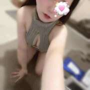 ヒメ日記 2026/02/24 01:04 投稿 おと ぐらどるえっぐ