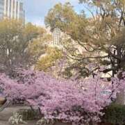 ヒメ日記 2026/03/07 20:48 投稿 おと ぐらどるえっぐ