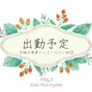 ヒメ日記 2024/12/08 13:01 投稿 松山 さら Men's relaxation VEGA