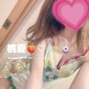 ヒメ日記 2025/02/14 00:16 投稿 桃夏 (もか)・Gランク 8Seasons(エイトシーズン)