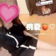 ヒメ日記 2025/03/16 18:16 投稿 桃夏 (もか)・Gランク 8Seasons(エイトシーズン)