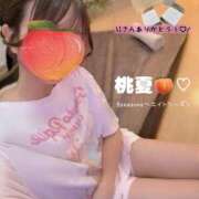 ヒメ日記 2026/05/24 19:56 投稿 桃夏 (もか)・Gランク 8Seasons(エイトシーズン)