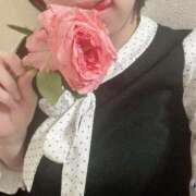 ヒメ日記 2025/04/03 14:18 投稿 めぐ 五反田人妻ヒットパレード（シンデレラグループ）