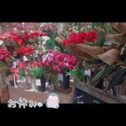 ヒメ日記 2025/01/19 09:38 投稿 香乃(かの) 人妻出逢い会 百合の園 山の手本店