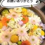 ヒメ日記 2025/03/08 14:28 投稿 香乃(かの) 人妻出逢い会 百合の園 山の手本店