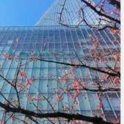 ヒメ日記 2025/03/11 10:08 投稿 香乃(かの) 人妻出逢い会 百合の園 山の手本店