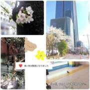 ヒメ日記 2025/04/11 16:28 投稿 香乃(かの) 人妻出逢い会 百合の園 山の手本店