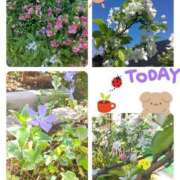 ヒメ日記 2025/04/15 20:47 投稿 香乃(かの) 人妻出逢い会 百合の園 山の手本店