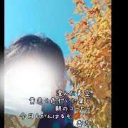 ヒメ日記 2025/12/05 11:46 投稿 香乃(かの) 人妻出逢い会 百合の園 山の手本店