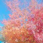 ヒメ日記 2025/12/16 15:27 投稿 香乃(かの) 人妻出逢い会 百合の園 山の手本店