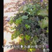 ヒメ日記 2026/07/11 00:57 投稿 香乃(かの) 人妻出逢い会 百合の園 山の手本店