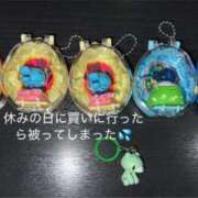 ヒメ日記 2026/03/24 19:37 投稿 むむ スピード日本橋店