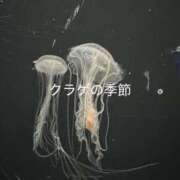 ヒメ日記 2026/05/22 20:37 投稿 むむ スピード日本橋店