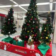 ヒメ日記 2025/12/05 15:48 投稿 はるな クラブA