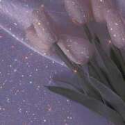 ヒメ日記 2024/12/09 01:48 投稿 ゆら 沖縄素人図鑑