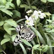 ヒメ日記 2025/02/16 20:54 投稿 ゆら 沖縄素人図鑑