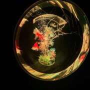 ヒメ日記 2025/03/20 15:33 投稿 ゆら 沖縄素人図鑑