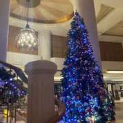 ヒメ日記 2024/12/13 14:23 投稿 つむぎ 八王子デリ倶楽部