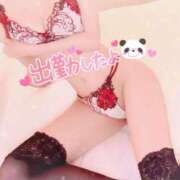 ヒメ日記 2025/07/10 14:54 投稿 立花あかね 富山人妻デリヘル AMANTE～アマンテ～