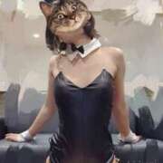 ヒメ日記 2025/08/18 01:17 投稿 桐谷琴音プレミアム -NEO-皇帝別館（中央街）