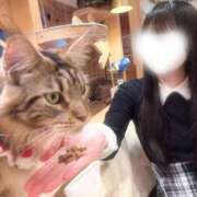 ヒメ日記 2025/12/21 17:37 投稿 かんな★上京したてのドM女神★ Chloe鶯谷・上野店 S級素人清楚系デリヘル