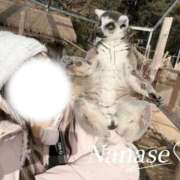 ヒメ日記 2025/12/21 21:44 投稿 ななせ ふわふわコレクション