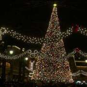 ヒメ日記 2024/12/08 14:23 投稿 かれん フェアリードール