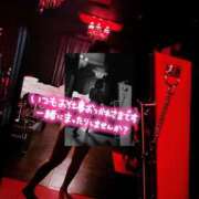 ヒメ日記 2024/12/08 20:03 投稿 かれん フェアリードール