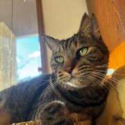 ヒメ日記 2024/12/18 13:53 投稿 かれん フェアリードール