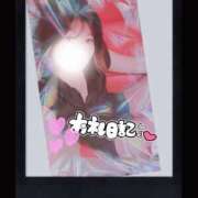 ヒメ日記 2024/12/18 14:13 投稿 かれん フェアリードール