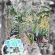 ヒメ日記 2024/12/19 14:40 投稿 かれん フェアリードール