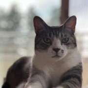 ヒメ日記 2025/01/05 18:53 投稿 かれん フェアリードール